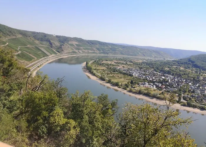 公寓 Steigrhein Filsen